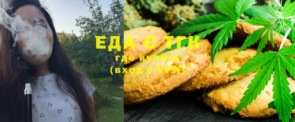 ECSTASY Алзамай