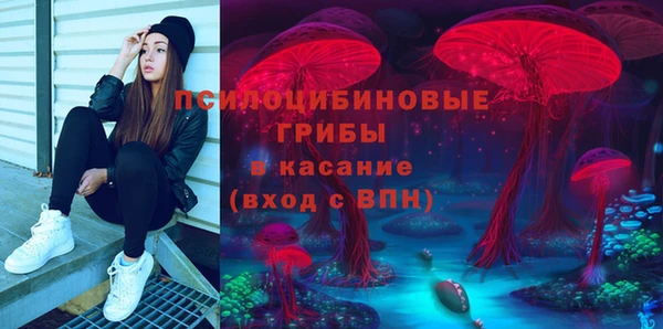 ECSTASY Алзамай